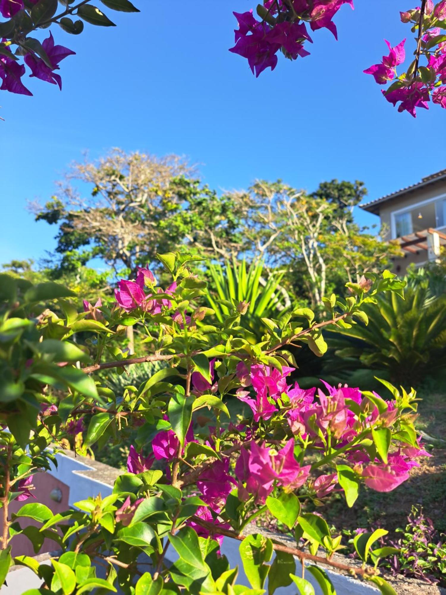 Vivamar Ferradura Bed & Breakfast Armacao dos Buzios Bagian luar foto